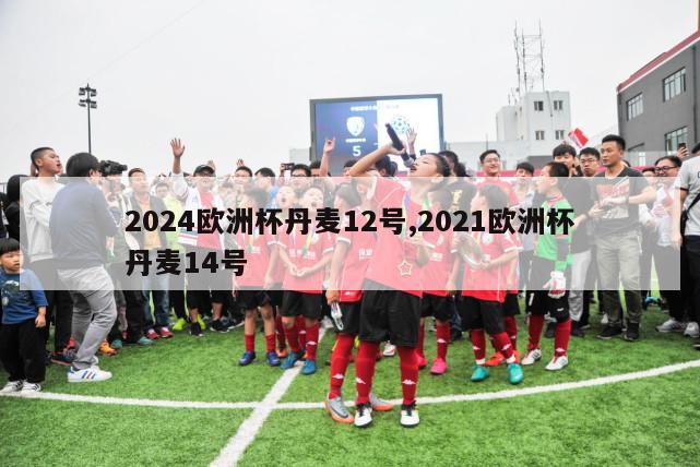 2024欧洲杯丹麦12号,2021欧洲杯丹麦14号