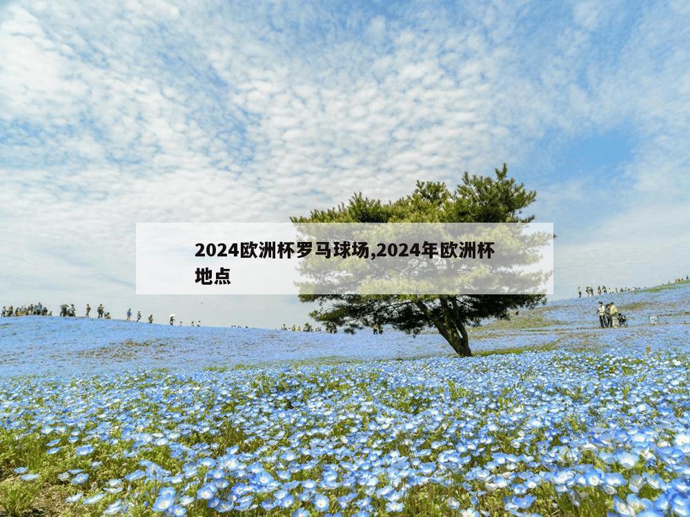 2024欧洲杯罗马球场,2024年欧洲杯地点