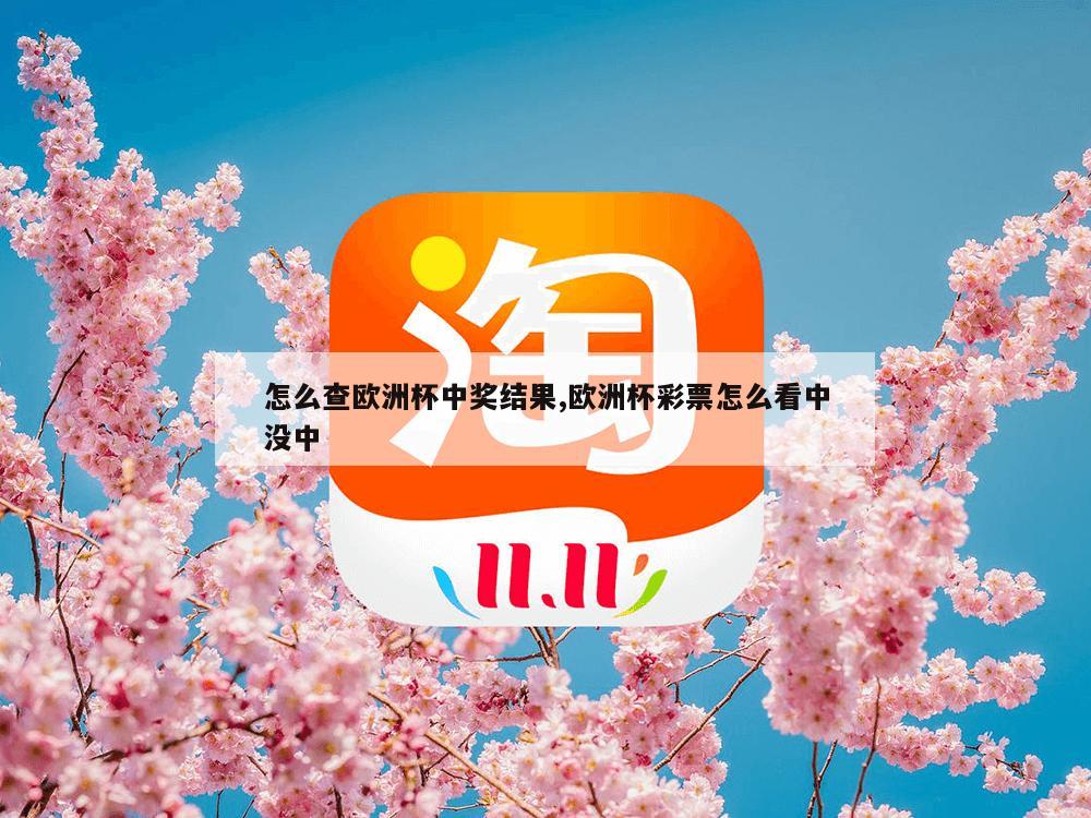 怎么查欧洲杯中奖结果,欧洲杯彩票怎么看中没中