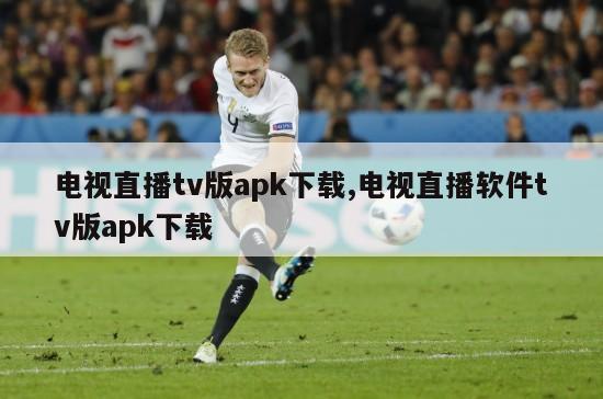 电视直播tv版apk下载,电视直播软件tv版apk下载