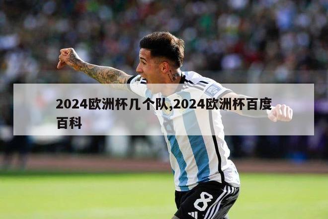 2024欧洲杯几个队,2024欧洲杯百度百科