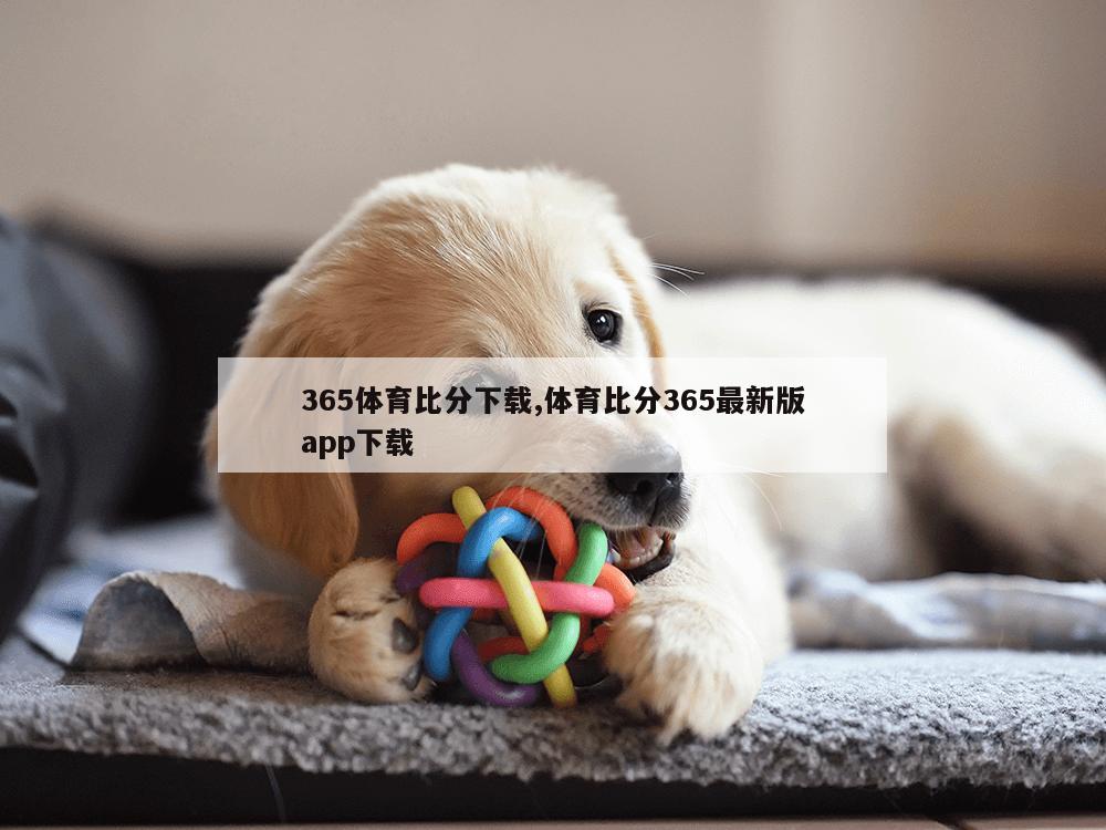 365体育比分下载,体育比分365最新版app下载