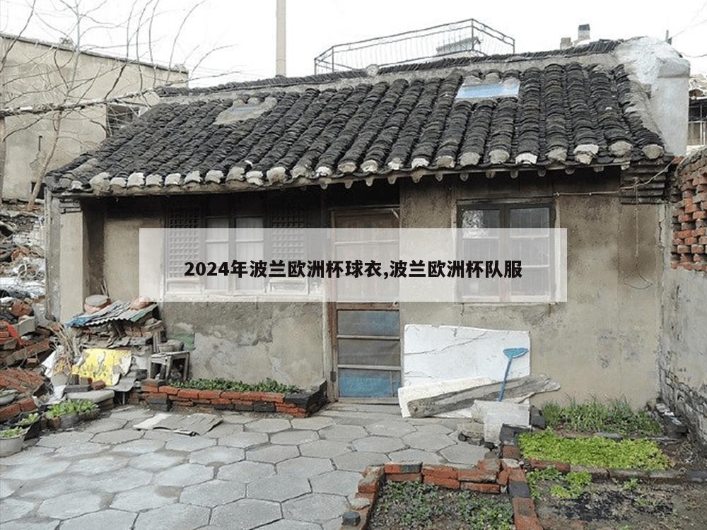 2024年波兰欧洲杯球衣,波兰欧洲杯队服