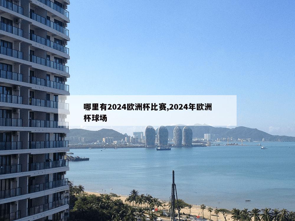 哪里有2024欧洲杯比赛,2024年欧洲杯球场