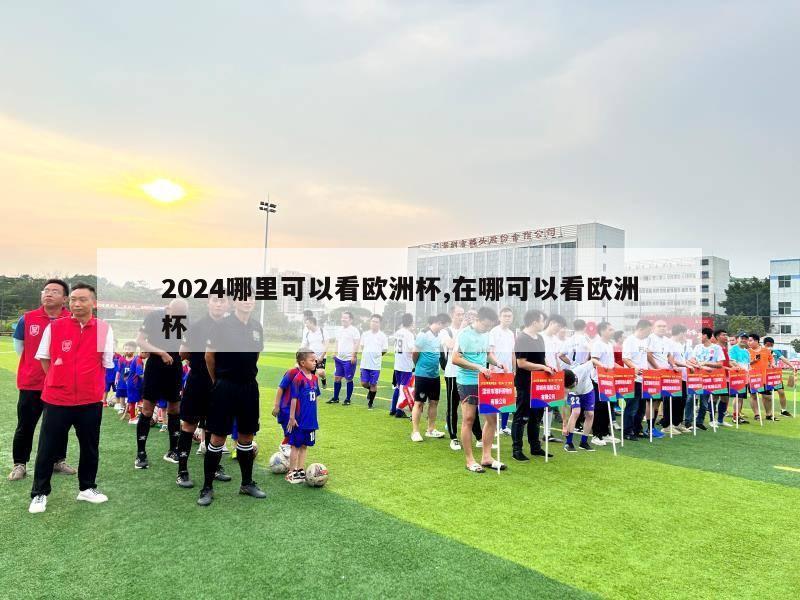 2024哪里可以看欧洲杯,在哪可以看欧洲杯