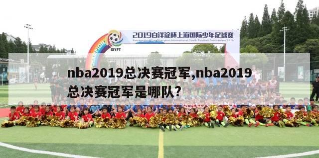 nba2019总决赛冠军,nba2019总决赛冠军是哪队?