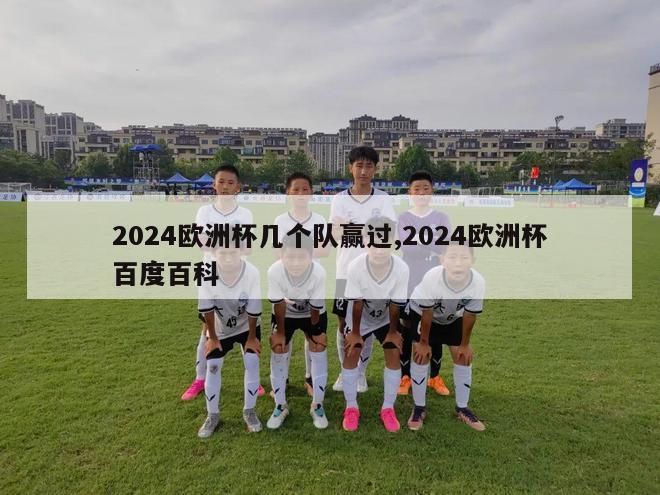 2024欧洲杯几个队赢过,2024欧洲杯百度百科