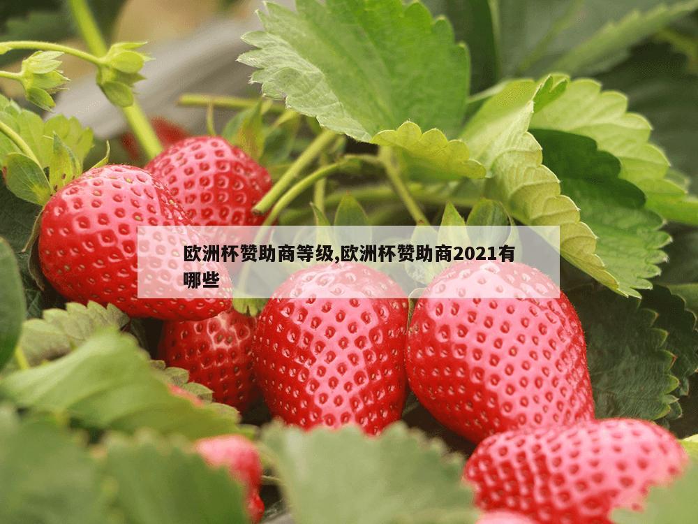 欧洲杯赞助商等级,欧洲杯赞助商2021有哪些