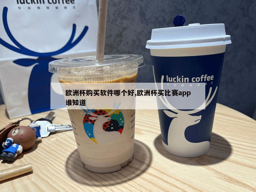 欧洲杯购买软件哪个好,欧洲杯买比赛app谁知道